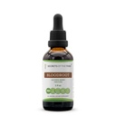 Secrets of the Tribe Bloodroot Tincture Alcohol Extract, High-Potency Herbal Drops, Tincture Made from Responsibly farmed Sanguinaria Canadensis Immune System Health 2 oz