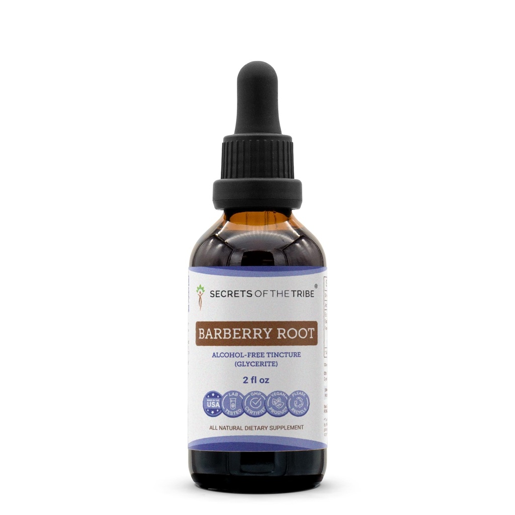 Secrets of the Tribe Barberry Root Tincture Alcohol-Free Extract, High-Potency Herbal Drops, Tincture Made from Barberry (Berberis Vulgaris) Dried Root Bark 2 oz