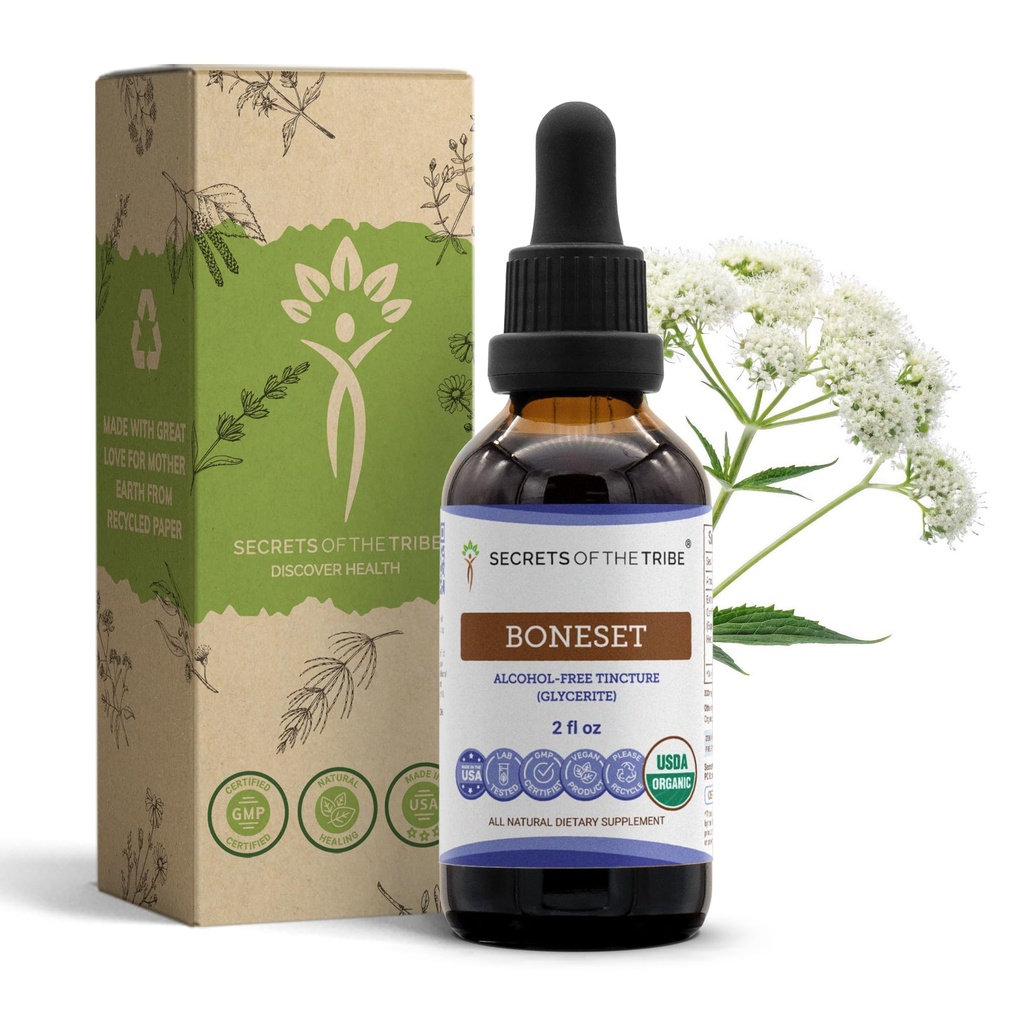 Secrets of the Tribe Boneset USDA Organic | Alcohol-Free Extract, High-Potency Herbal Drops | Made from 100% Certified Organic Boneset (Eupatorium perfoliatum) Dried Herb (2 oz)