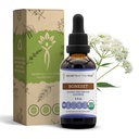 Secrets of the Tribe Boneset USDA Organic | Alcohol-Free Extract, High-Potency Herbal Drops | Made from 100% Certified Organic Boneset (Eupatorium perfoliatum) Dried Herb (2 oz)