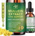(2 Pack) 6 In 1 gocce di Mullein per polmoni, tintura di estratto di foglie di Mullein organico per polmoni, Detox Cleanse & Respiratory per la salute respirazione, Sostegno immunitario del supplemento di olio di Mullein, Vegan, 1 Fl Oz