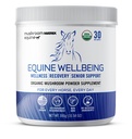 Om Mushroom Matrix - Equine | Wellbeing | USA Grown Human-Grade Organic Mushroom Powder Show Safe Horse Supplement | Wellness, Erholung, & Senior Support | 300 Gramm, 10.5 oz