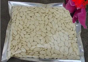 Comprimé de poudre lyophilisé pur et organique 100 grammes 10-HAD > 6,0 %