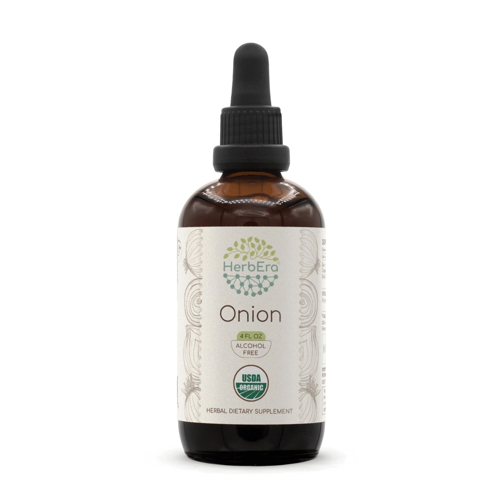 HerbEra Onion Alcohol-Free Liquid Extract Tincture – Immune Support, Allium Cepa Dried Bulb, Cardiovascular Support, Vegan, Herbal Supplement (4 fl oz)