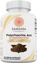 Herbes de Samsara Extrait de fourmi noire de polyrhachis - (120 capsules)