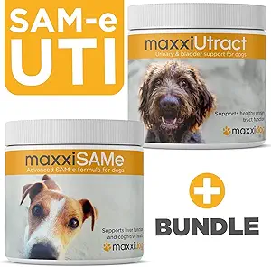 maxxipaws SAM-e UTI Bundle – maxxiSAMe Advanced SAM-e Unterstützung für Hunde & maxxiUtract Canine Urinary and Bladder Supplement