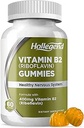 Vitamin B2 Gummie Riboflavin 400mg, B2 Vitamin Kaubare Ergänzung, Vegan, Non GMO, Orange Flavor, 60 Graf