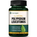 Kalawalla Racines Capsules, Polypodium Leucotomos Extract Suppléments Support Système immunitaire, santé de la peau, et la défense des radicaux libres, dure 3 mois. 90 Compte