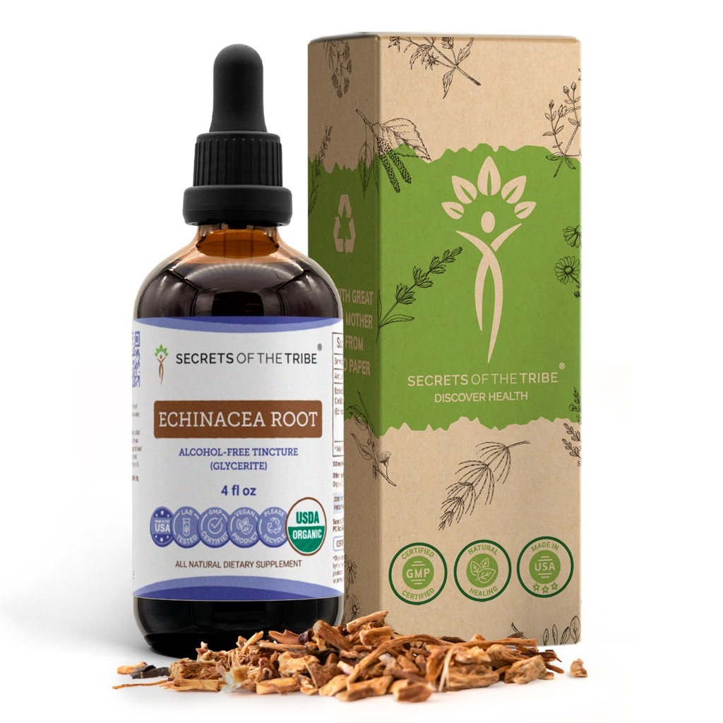 Echinacea Root USDA Organic Tincture | Alcohol-Free Extract, High-Potency Herbal Drops, Immune System Health | Realizzato in 100% certificata Organic Echinacea Root (Echinacea Purpurea) 4 oz