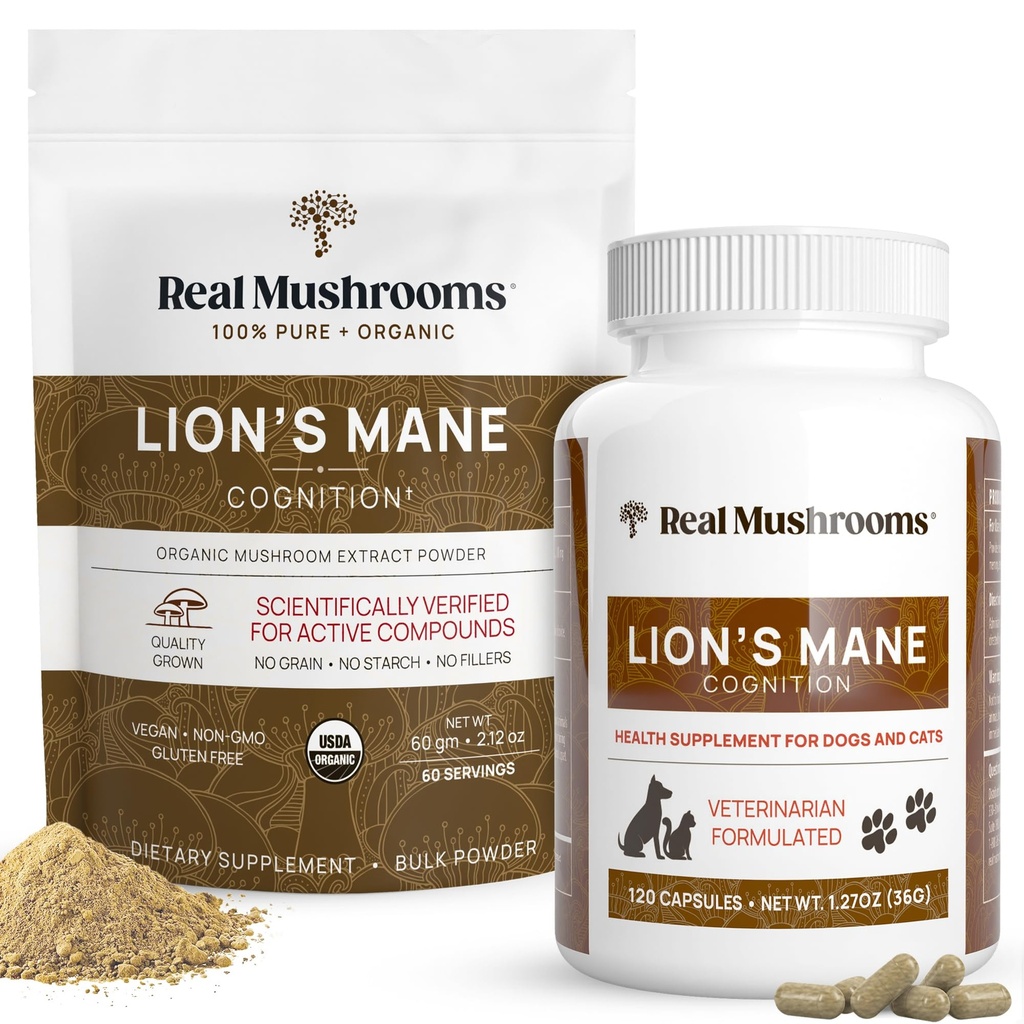 Echte Pilze Lions Mane für Menschen (60 Servierungen) und Haustiere (120ct) - Pulver & Kapseln Bundle für Kognition & Immunität - Vegan, Non-GMO, Gluten-freie, grau-freie Pilzextrakt Ergänzungen