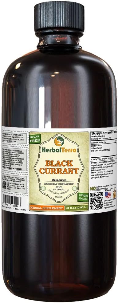 Currant noir (Ribes nigrum) Teinture, feuilles séchées Extrait liquide (Marque: HerbalTerra, Fièrement fabriqué aux États-Unis) 32 fl.oz (0.95 l)