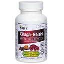 Sayan Siberian Chaga e Organic Reishi Mushroom Extract Supplemento – 90 capsule/440mg Ogni - Wild-Harvested, Antiossidante Blend per il supporto del sistema immunitario + Natural Energy Boost, Non-GMO, Gluten Free