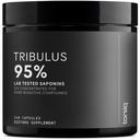 Tribulus Terrestris für Herren - Ultra High Potency 25:1 Extrakt mit 95% Saponins - 1300mg Pure & Concentrated Formula - Third-Party Lab Getestet für Reinheit & Qualität - 240 Kapseln