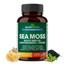 SANDHUHERBALS Sea Moss Capsule con Olio di semi neri Ashwagandha Ginger Burdock Root | Advanced Seamoss 60 Count | Tutte le donne Età