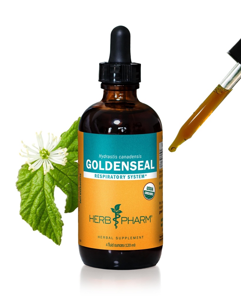 Herb Pharm Certified Goldenseal Liquid Extract pour le soutien du système respiratoire - 4 Once