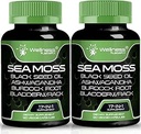 Estratto di caffè verde, 17-in-1, Seamoss Black Seed Oil, 120 Count, Ashwagandha Burdock Root Organic Bladderwrack Capsule | Organic Sea Moss Advanced, Immune and Blood Pressure Support