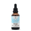 Chaga Alcohol-Free Natural Tincture Extract, Immune System Booster, Liquid Drops Made from 100% Wildcrafted Chaga (Inonotus obliquus) Dried Mushroom (2 fl oz)