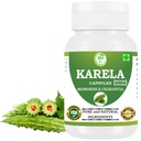 Morsan Healthcare Karela Capsules – 500 mg | Pack of 60 Veg Capsules | Pure Momordica charantia Extract | Ayurvedic Herbal Supplement | Plant-Based & Gluten-Free