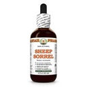 Sheep Sorrel (Rumex Acetosella) Dry Herb Glycerite, All Natural, Vegan, Lab Tested Alcohol-Free Liquid Extract - 2 fl.oz