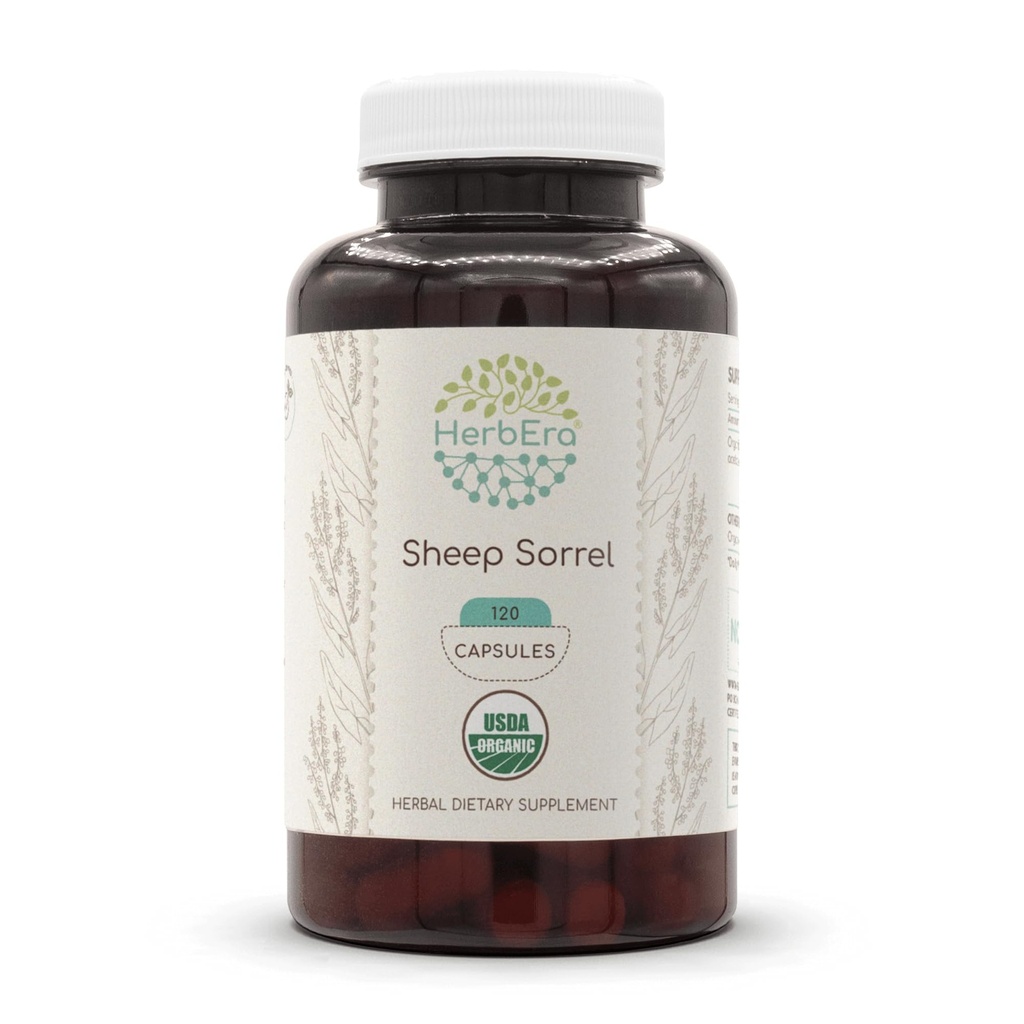 Sheep Sorrel 120 Capsules, 500 mg, Concentrated Liquid Drops Natural USDA Organic Sheep Sorrel (Rumex Acetosella) Dried Herb (120 Capsules)
