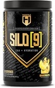 HOSSTILE SILO[9] Acides aminés essentiels, EAA et BCAA Poudre, soutien à l'hydratation des électrolytes, améliorer la croissance et la récupération musculaires, boisson avant ou après l'entraînement, citronnade de bleuets, 30 portions