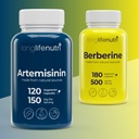 Artemisinin 150 mg + Berberine 500 mg Bundle - 120 + 180 Vegetarian Capsules, Daily Detox & Digestive Supplement for Overall Well-Being, 4-6 Month Supply, GMP Certified, Made in USA