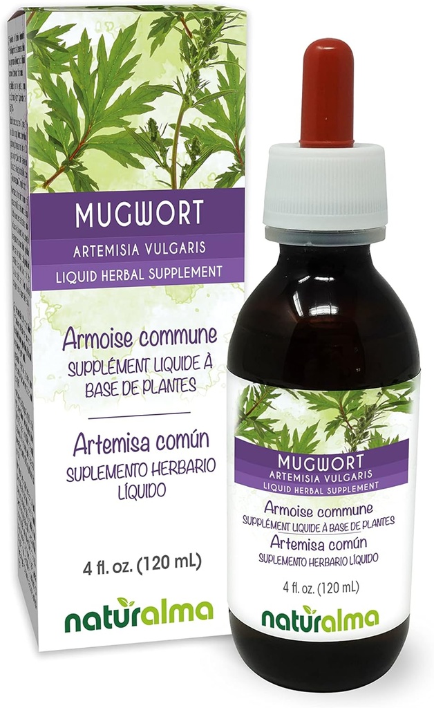 Naturalma Mugwort (Artemisia vulgaris) Kräuter mit Blumen Alkoholfreie Tinktur - 4 fl oz Flüssiger Extrakt in Tropfen - Kräuterergänzung - Vegan