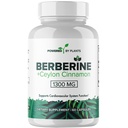 Supplément berbère pur - 1300mg berbère avec cannelle Ceylan pour le métabolisme et le système immunitaire - 60 portions