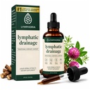 Lymphatic Drainage Drops for Bloat Relief & De-Puff – Cleavers, Red Clover, Stillingia Root & Prickly Ash Bark – Lymph Node Detox Cleanse, Fluid Retention, Alcohol-Free 2 Fl Oz (Pack of 3)