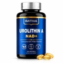Urolithin A 1000MG Supplement with NAD+, CoQ10 & PQQ, 120 Softgels