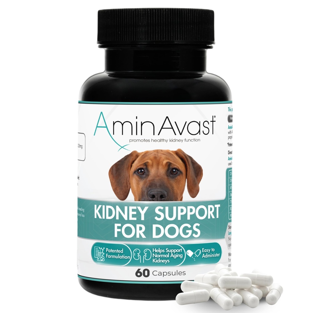 AminAvast Kidney Support for Dogs Over 20lb, 1000mg, 60 Sprinkle Capsules