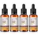 Golden Cabinet – Jin GUI Shen Qi Tang – Jin GUI Shen Qi Wan Herbal Tincture (Liquid Extract) - Concentrate with Dropper - Natural TCM Herb Blend Supplement 1 oz (Pack of 4)