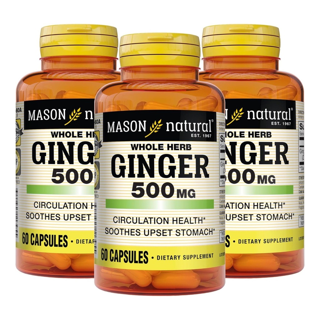 MASON NATURAL ganze Kräuter Ginger 500 mg, 6 Monate Versorgung, natürliche Kräuterergänzung, 60 Kapseln (3 Pack)