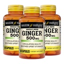 MASON NATURAL Ginger entier à base de plantes 500 mg, 6 mois d'approvisionnement, complément naturel à base de plantes, 60 capsules (3 pack)