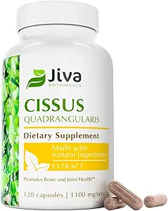 Jiva Botanicals Cissus Quadrangularis Capsule 550 mg - Estratto di polvere di Cissus ad alta potenza per il supporto comune normale Bone Health & Normal - 120 capsule (Pack of 1)