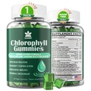 Chlorophyll-Gummien - Super Grün mit Weizen Gras, Meer Moss, Unfiltrierte ACV & Elderberry, Echinacea, Zink Complex & Vitamin D3, C, E, B12 für Natürliche Deodorant, Immun- & Verdauungsunterstützung, 60 Chews