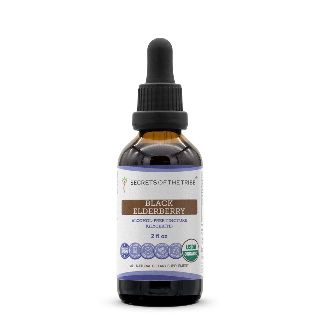 Black Elderberry USDA Organic Tincture | Alcohol-FREE Extract, High-Potency Herbal Drops, Immune System Health | Made from 100% Certified Organic Black Elderberry (Sambucus Nigra) 2 oz