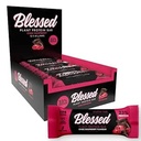 Beato Vegan Protein Bars - Barre proteiche a base vegetale Low Calorie High Protein Meal Sostituzione Bar - Dairy Free, Nutritious Vegan Snacks - 12 Pack Chocolate Raspberry Bar