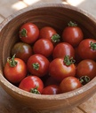Willvine Sweetheart Of The Patio Hybrid Tomato 120 Seeds for Planting
