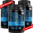 12-in-1 Nootropic Brain Supplement Anhydrous: Ginkgo Biloba für Gehirnunterstützung, Gedächtnis und Fokus - B12, Alpha GPC, L Theanin und Choline Ergänzungen mit Bioperine Non Koffeiniert 1321mg (180ct)
