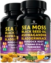 Capsules de mousse de mer – Mélange 17-en-1 avec l'huile de graines noires Ashwagandha Bladderwrack Root Turmeric Vitamine D3 K2 C pour le mieux-être quotidien – Supplément multiminéral pour les hommes et les femmes – 240 Nombre
