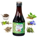 LIVCARE DS An Ayurvedic SUGAR FREE Liver Tonic 225 ML Syrup For LiverHealth | Natural Liver Herbal Tonic | Improves Cell Function and Increases Immunity | Improves Digestive System (Pack of 1)
