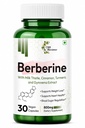 Berberine with Milk Thistle, Cinnamon, Turmeric, and Gymnema Extract | Metabolic Health and Liver Support | 30 Vegan Capsules