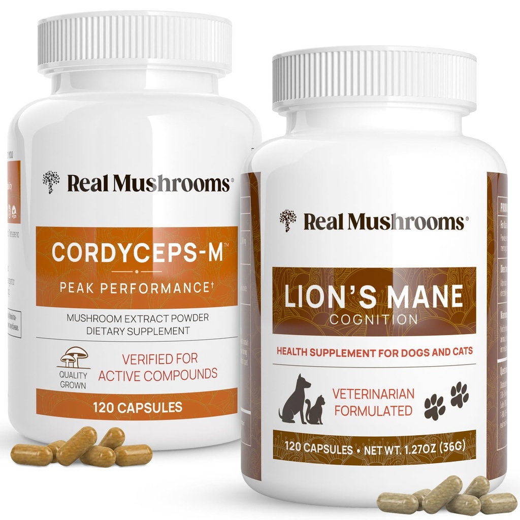Funghi reali Cordyceps per gli esseri umani (120ct) e Lions Mane per gli animali (120ct) - Bundle per l'energia, Vitality & Cognition - Vegan, Non-GMO, Gluten-Free, Grain-Free Mushroom Extract Supplements
