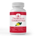 PURE ORIGINAL INGRÉDIENTS Tribulus Terrestris (100 Capsules) Toujours Pure, Pas d'additifs ou de remplissage, Lab Vérifié