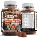15in1 Gummes de Champignons avec Lion's Mane Turkey Tail Cordyceps Reishi Chaga Sweet Toot Maitake Meshima Poria Cocos Shiitake Tremella, Oyster Agaricus Champignons pour hommes et femmes Supplément Nutra propre