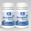 Anoopam Ayurveda Anugest Tablet for Improved Digestion & Gut Health | Aids Digestion & Reduces Hyperacidity (Pack of 2)