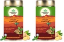 A TATA Product - Organic India Tulsi Ginger Tea - 100g, Rich in Antioxidants, Supports Digestion, Stress Relieving, Helps Boost Metabolism, Caffeine-Free, Whole Herbs (Pack of 2)