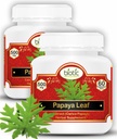 Biotic Natural Papaya Leaf Extract for Platelets - Carica Papaya Capsules Extract 500mg - 120 Veg Capsule (Pack of 2)