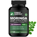 Moringa Leaf Extract Capsules | Herbal Supplement | 10:1 Concentrated Extract | Source of Natural Antioxidants | 120 Veg Capsules | WHO-GMP, ISO, HACCP Certified